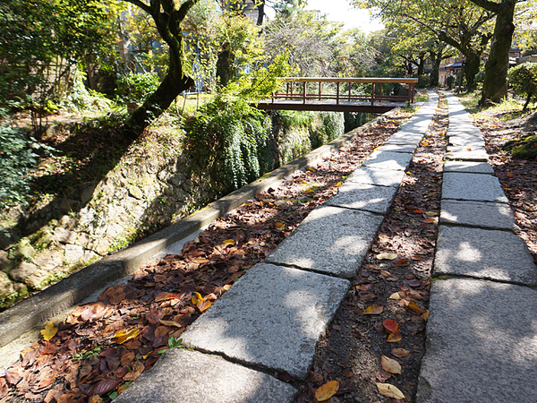 見どころ満載！京都「哲学の道」の風情って。。おしゃれなカフェも点在するので、ゆっくりできる。